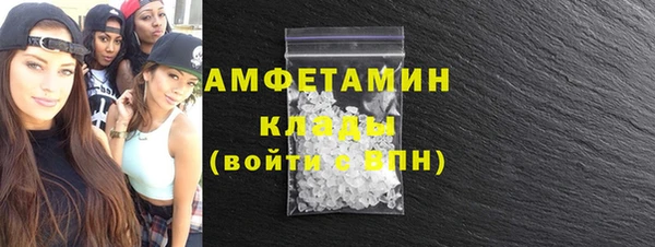 шишки Богородицк