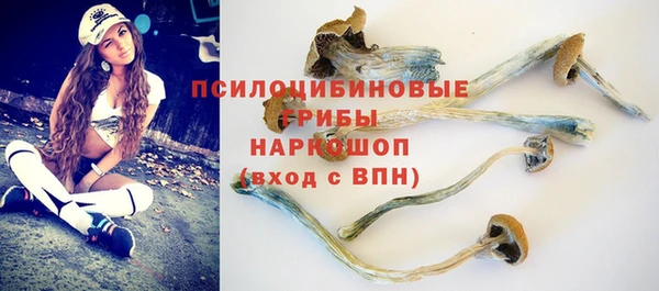 альфа пвп Бугульма