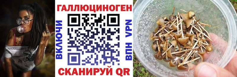 Галлюциногенные грибы Psilocybe  Лыткарино 